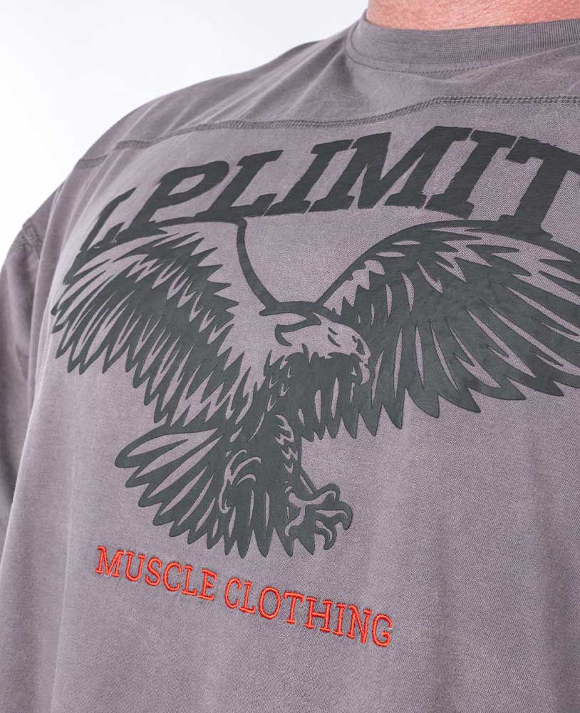 Rag Top Eagle Stonewashed Pique Jersey - Legal Power