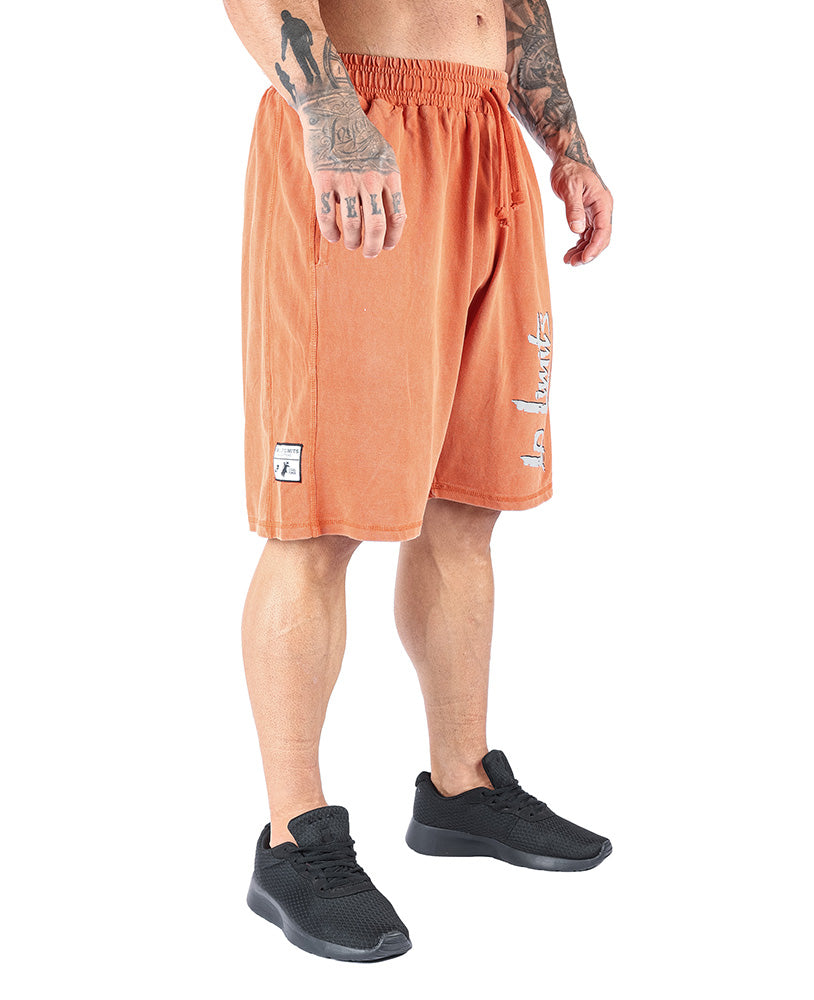 Shorts LpLimits Stonewashed Jersey Pique - Legal Power