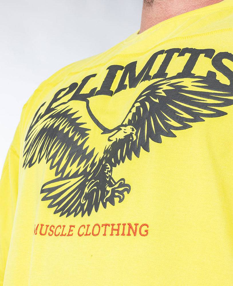 Rag Top Eagle Stonewashed Pique Jersey - Legal Power