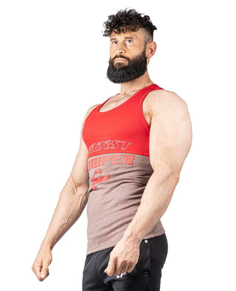 Tanktop Split Hardest Pumper in the Gym Stonewashed Ribbed - Legal Power