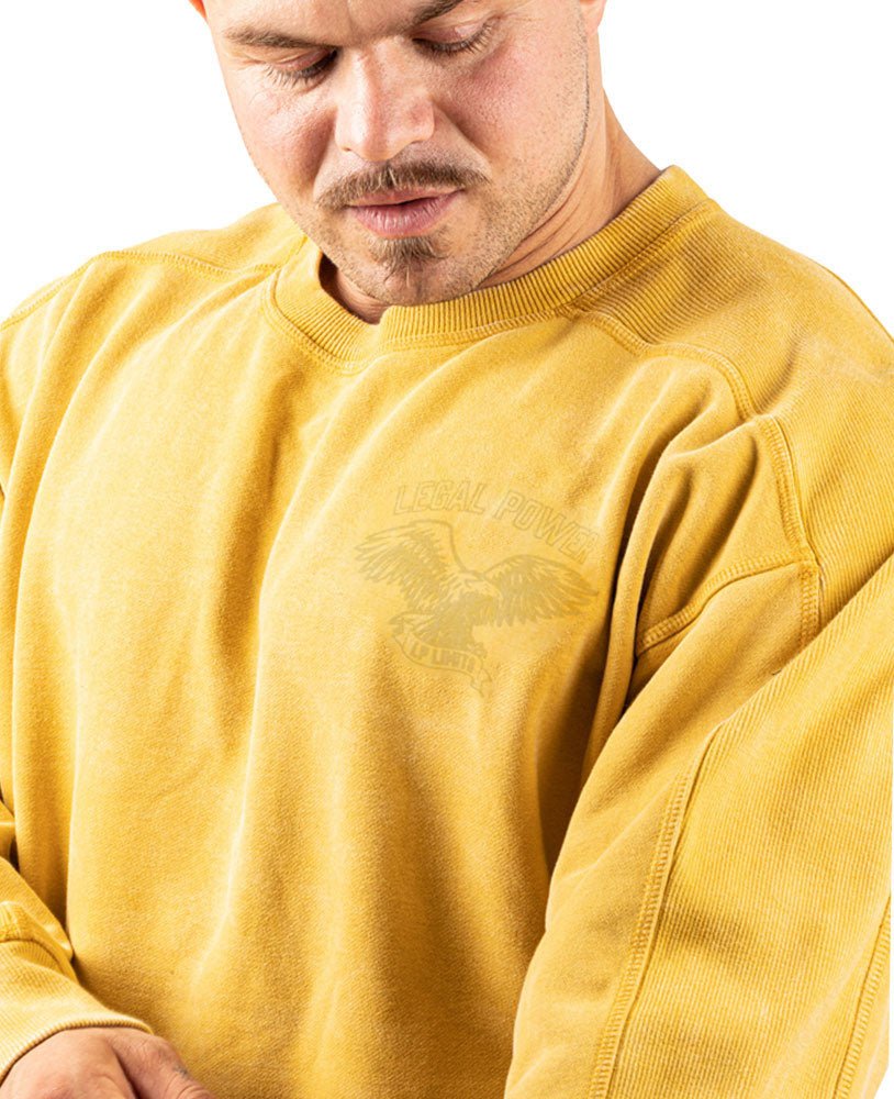 Sweater Eagle Stonewashed Ottomix