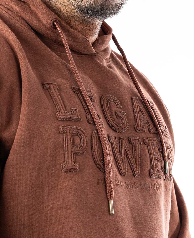 Hoodie Legal Power Stonewashed brushed inside Ottomix