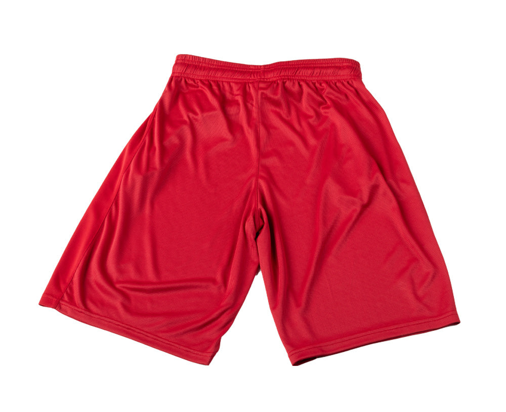 Shorts LP Mesh